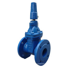 BS5163 Flanged Resilient Gate Valve with Nut Operator